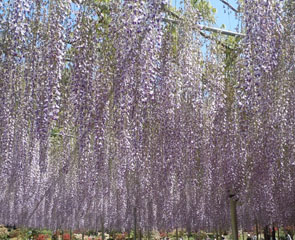 ファイル 62-3.jpg